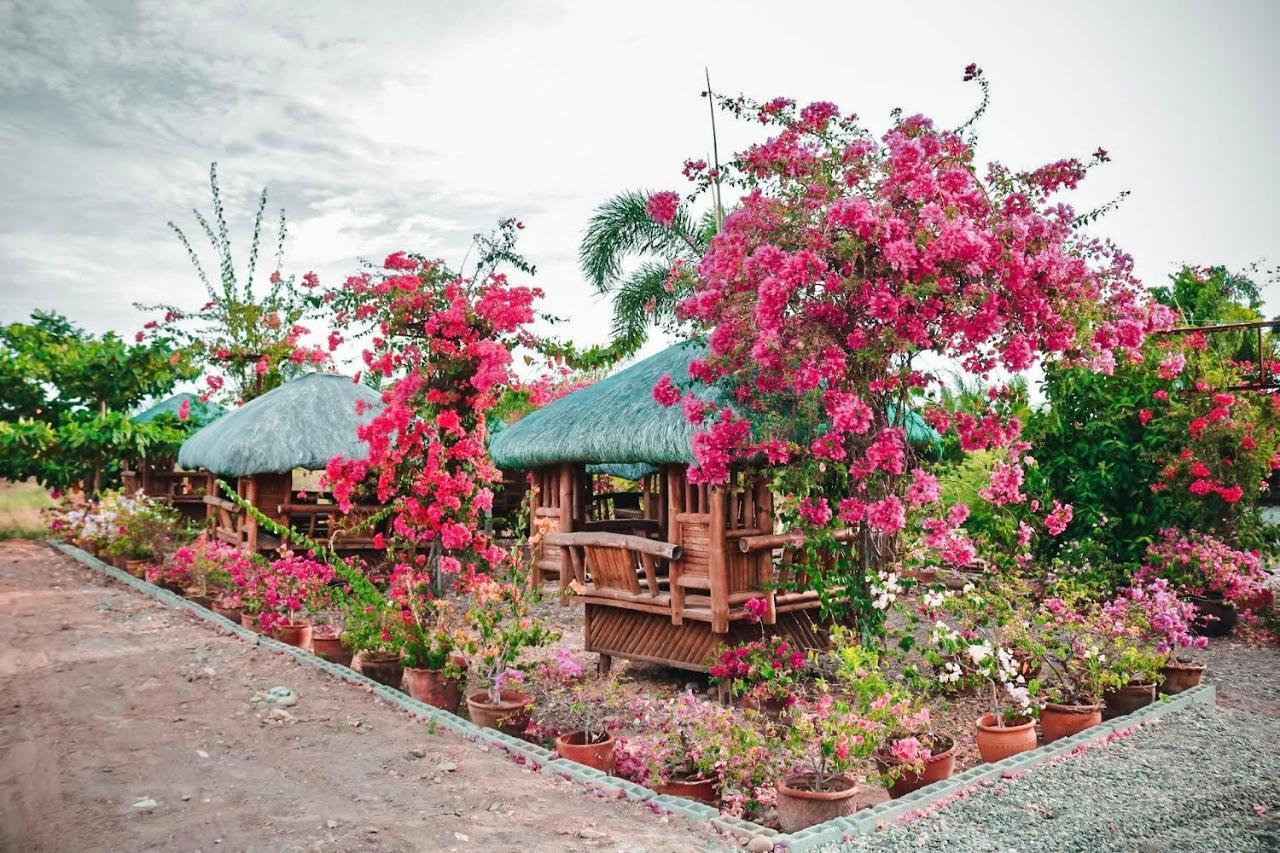 Airport View Hotel Vigan Eksteriør billede